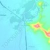 Mappa topografica Desmotadora, altitudine, rilievo