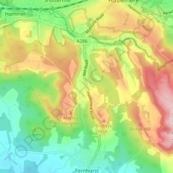 Mappa topografica Kingsley Green, altitudine, rilievo