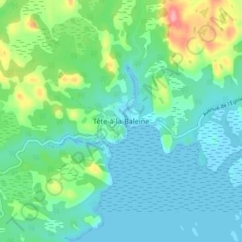 Mappa topografica Tête-à-la-Baleine, altitudine, rilievo