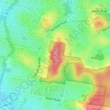 Mappa topografica Toohey Mountain, altitudine, rilievo