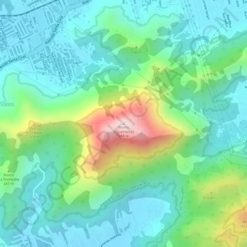 Mappa topografica Morro do Lameirão, altitudine, rilievo