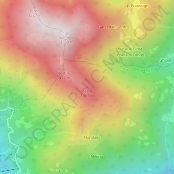 Mappa topografica Testa, altitudine, rilievo