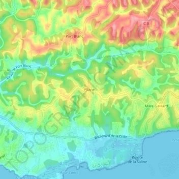 Mappa topografica Pliane, altitudine, rilievo