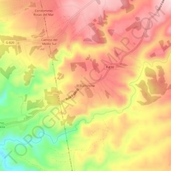 Mappa topografica El Bochinche, altitudine, rilievo