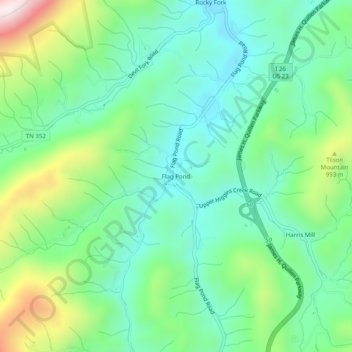 Mappa topografica Flag Pond, altitudine, rilievo