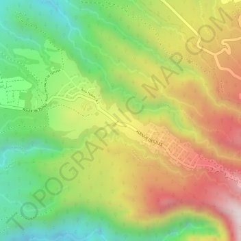 Mappa topografica Puunui, altitudine, rilievo
