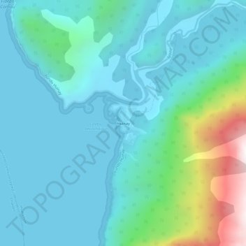 Mappa topografica Huinay, altitudine, rilievo