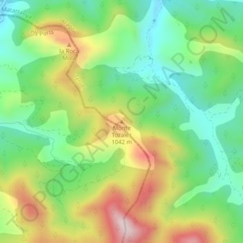Mappa topografica Monte Tozales, altitudine, rilievo