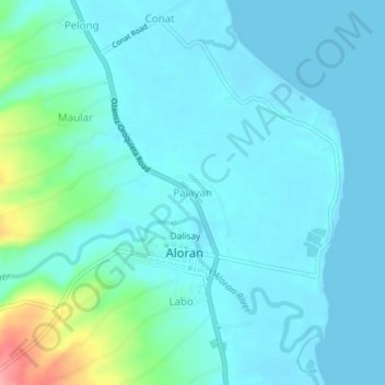 Mappa topografica Palayan, altitudine, rilievo