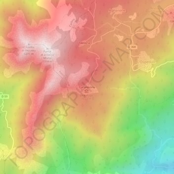 Mappa topografica Cartalavonu, altitudine, rilievo