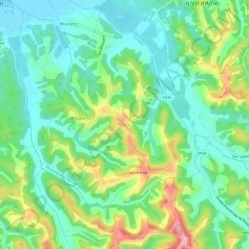Mappa topografica Marti, altitudine, rilievo