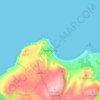 Mappa topografica New Quay, altitudine, rilievo
