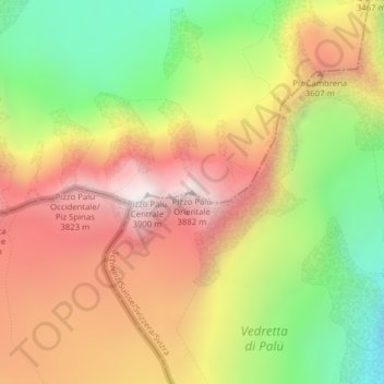 Mappa topografica Pizzo Palù Orientale, altitudine, rilievo