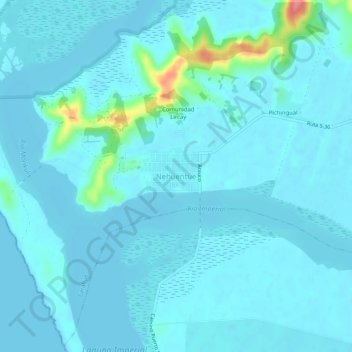 Mappa topografica Nehuentúe, altitudine, rilievo