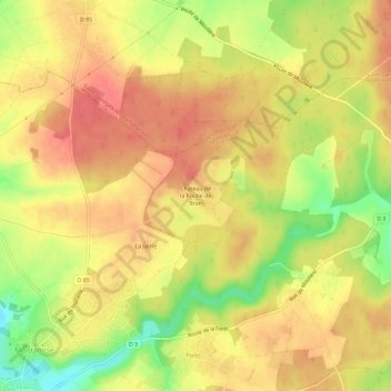 Mappa topografica Château de la Roche de Bran, altitudine, rilievo