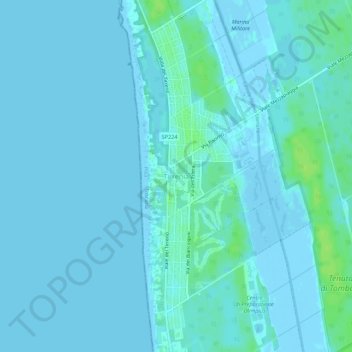 Mappa topografica Tirrenia, altitudine, rilievo