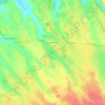 Mappa topografica Prato Fiorito, altitudine, rilievo