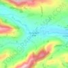 Mappa topografica Pen-y-bont-fawr, altitudine, rilievo