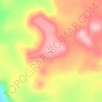 Mappa topografica Bushfire Hill, altitudine, rilievo