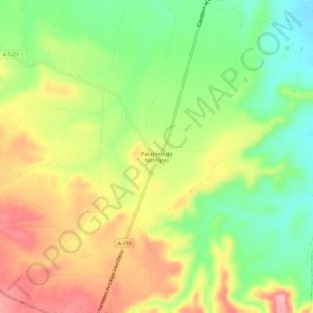Mappa topografica Pallaruelo de Monegros, altitudine, rilievo