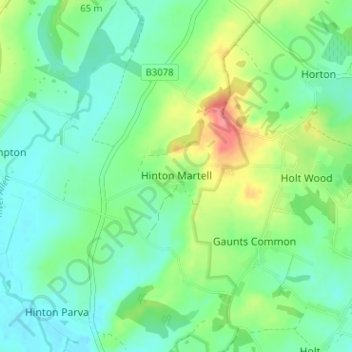 Mappa topografica Hinton Martell, altitudine, rilievo