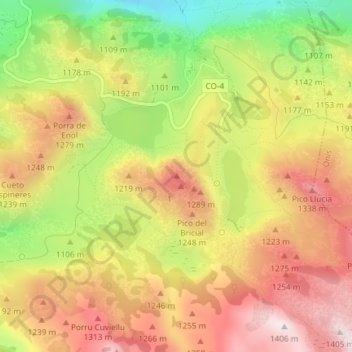 Mappa topografica Pico Bricial, altitudine, rilievo