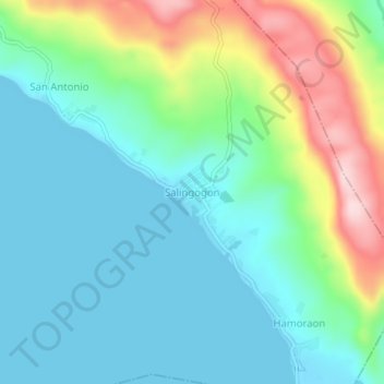 Mappa topografica Salingogon, altitudine, rilievo