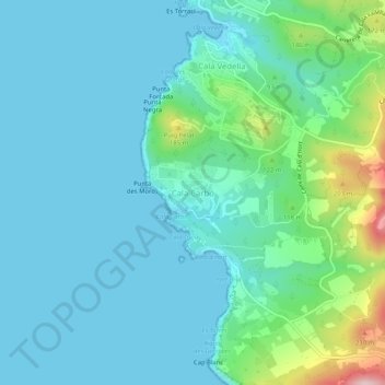 Mappa topografica Cala Carbó, altitudine, rilievo