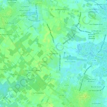 Mappa topografica Bois Fleury, altitudine, rilievo