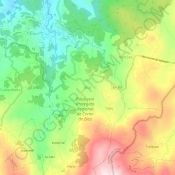 Mappa topografica Bico, altitudine, rilievo