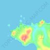 Mappa topografica Puñihuil, altitudine, rilievo