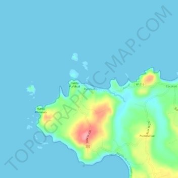 Mappa topografica Puñihuil, altitudine, rilievo