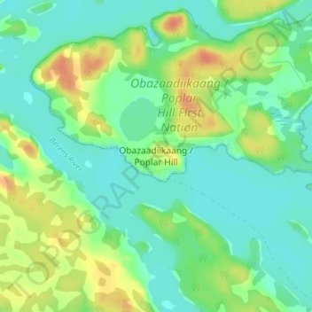 Mappa topografica Poplar Hill, altitudine, rilievo
