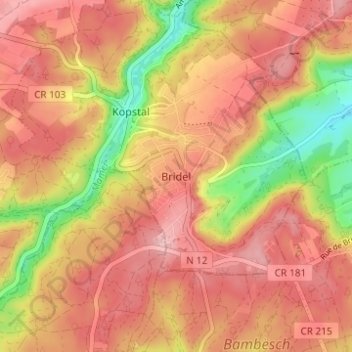 Mappa topografica Bridel, altitudine, rilievo