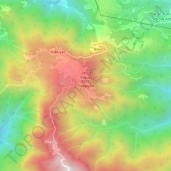Mappa topografica Pungayan, altitudine, rilievo