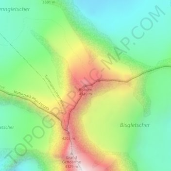 Mappa topografica Bishorn, altitudine, rilievo