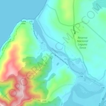 Mappa topografica Llico, altitudine, rilievo