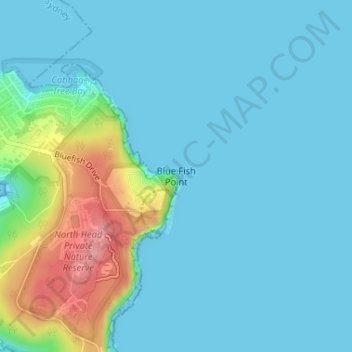 Mappa topografica Blue Fish Point, altitudine, rilievo