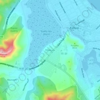 Mappa topografica Pōhākupu, altitudine, rilievo