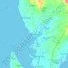 Mappa topografica Medellin, altitudine, rilievo