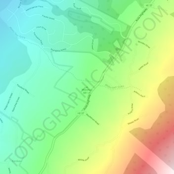Mappa topografica Waiohuli, altitudine, rilievo
