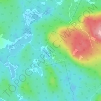 Mappa topografica Blueberry Mountain, altitudine, rilievo