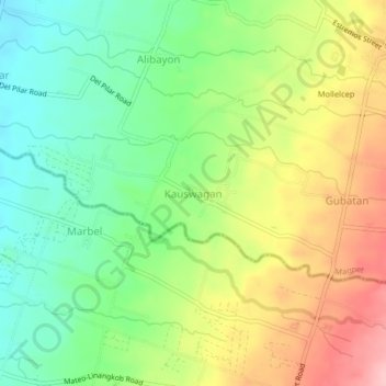 Mappa topografica Kauswagan, altitudine, rilievo