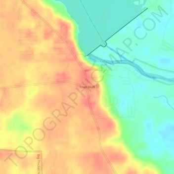 Mappa topografica Town Bluff, altitudine, rilievo