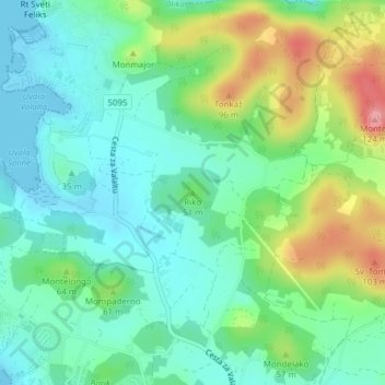 Mappa topografica Ricco, altitudine, rilievo