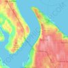 Mappa topografica Tacoma Narrows, altitudine, rilievo