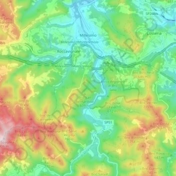 Mappa topografica Millesimo, altitudine, rilievo