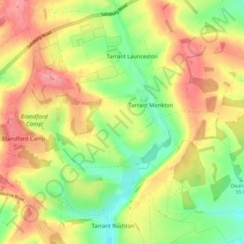 Mappa topografica Tarrant Monkton, altitudine, rilievo