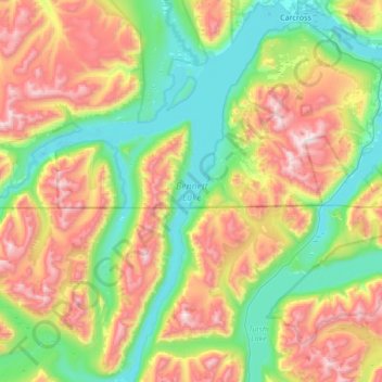 Mappa topografica Bennett Lake, altitudine, rilievo
