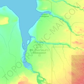 Mappa topografica Waskaganish (Village), altitudine, rilievo